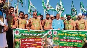 Farmers' MSP Protest - 047 Indian Farmers Protest