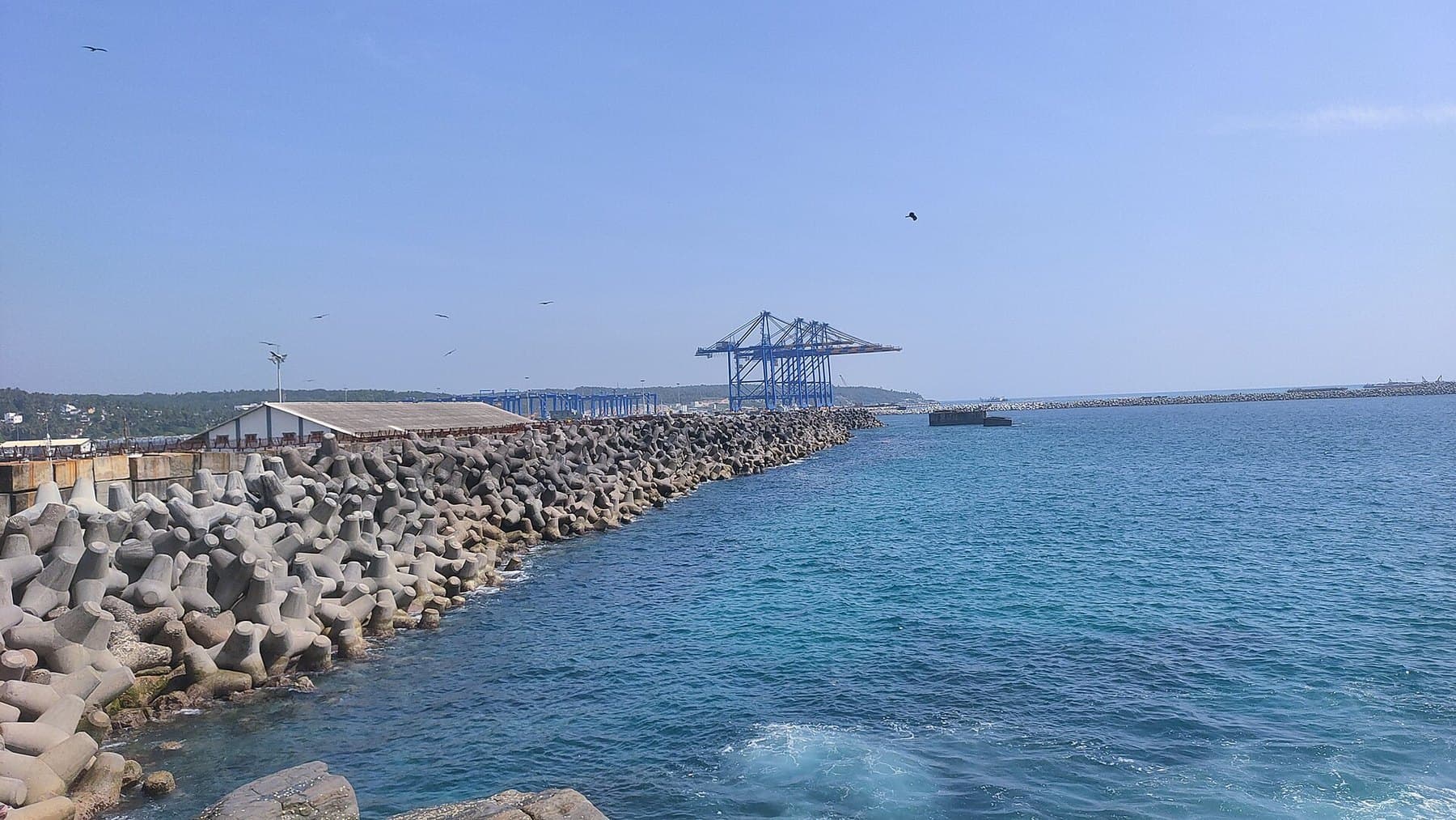Vizhinjam Port Fisherfolk Protest - sea in kerala with a port in background