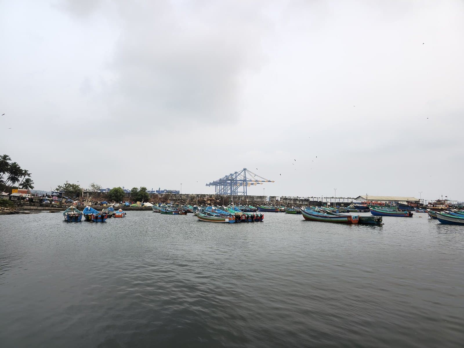 Vizhinjam Port Fisherfolk Protest - Vizhinjam Port