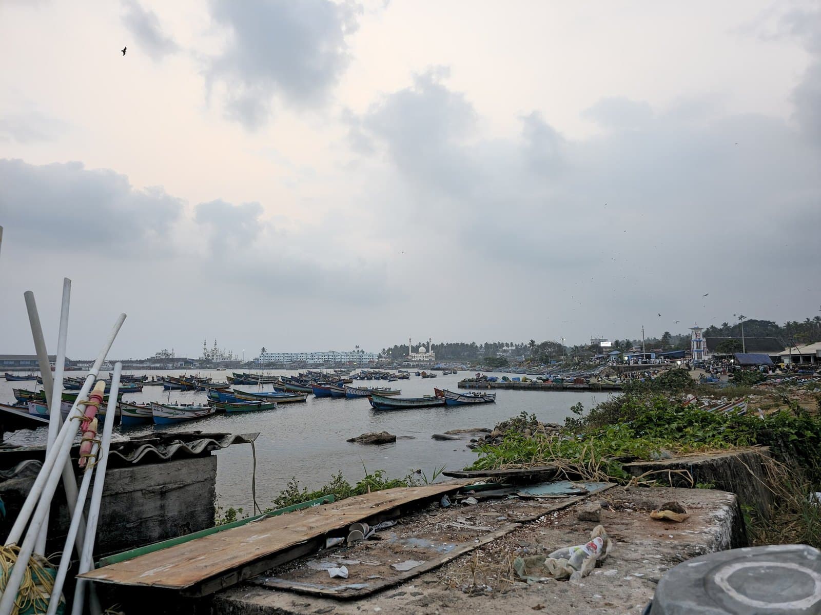 Vizhinjam Port Fisherfolk Protest - Vizhinjam Fishing harbour